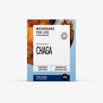Organic Chaga Extract Powder